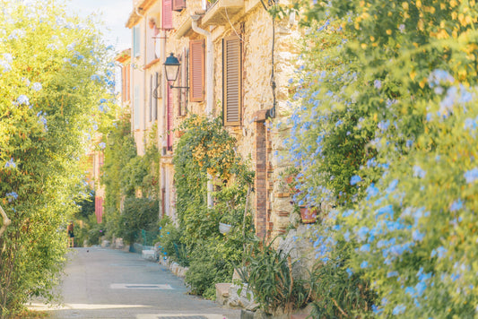 A day in Provence - Provence, France