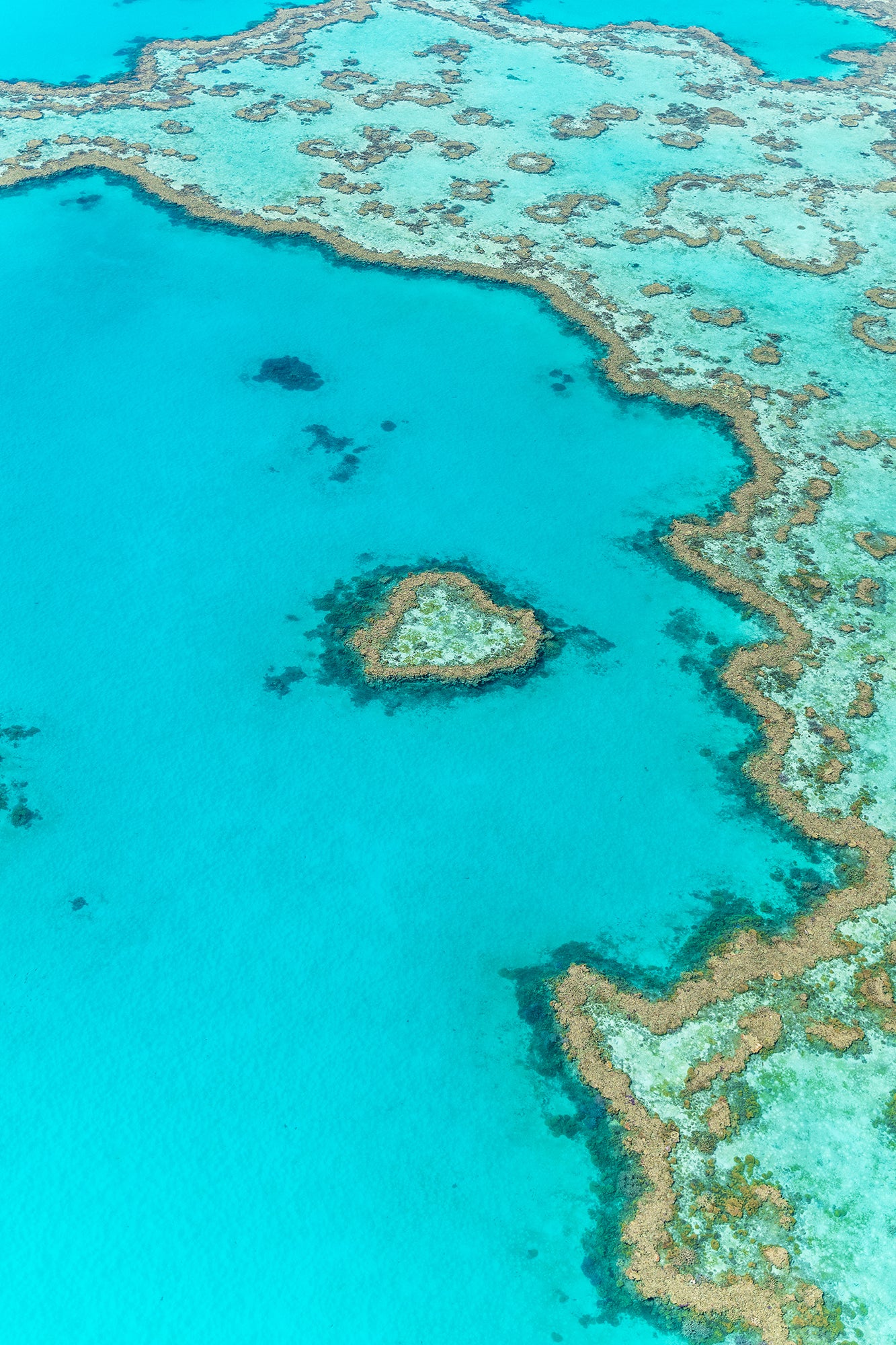 Heart Island Vertical - Whitsunday Islands, Australia
