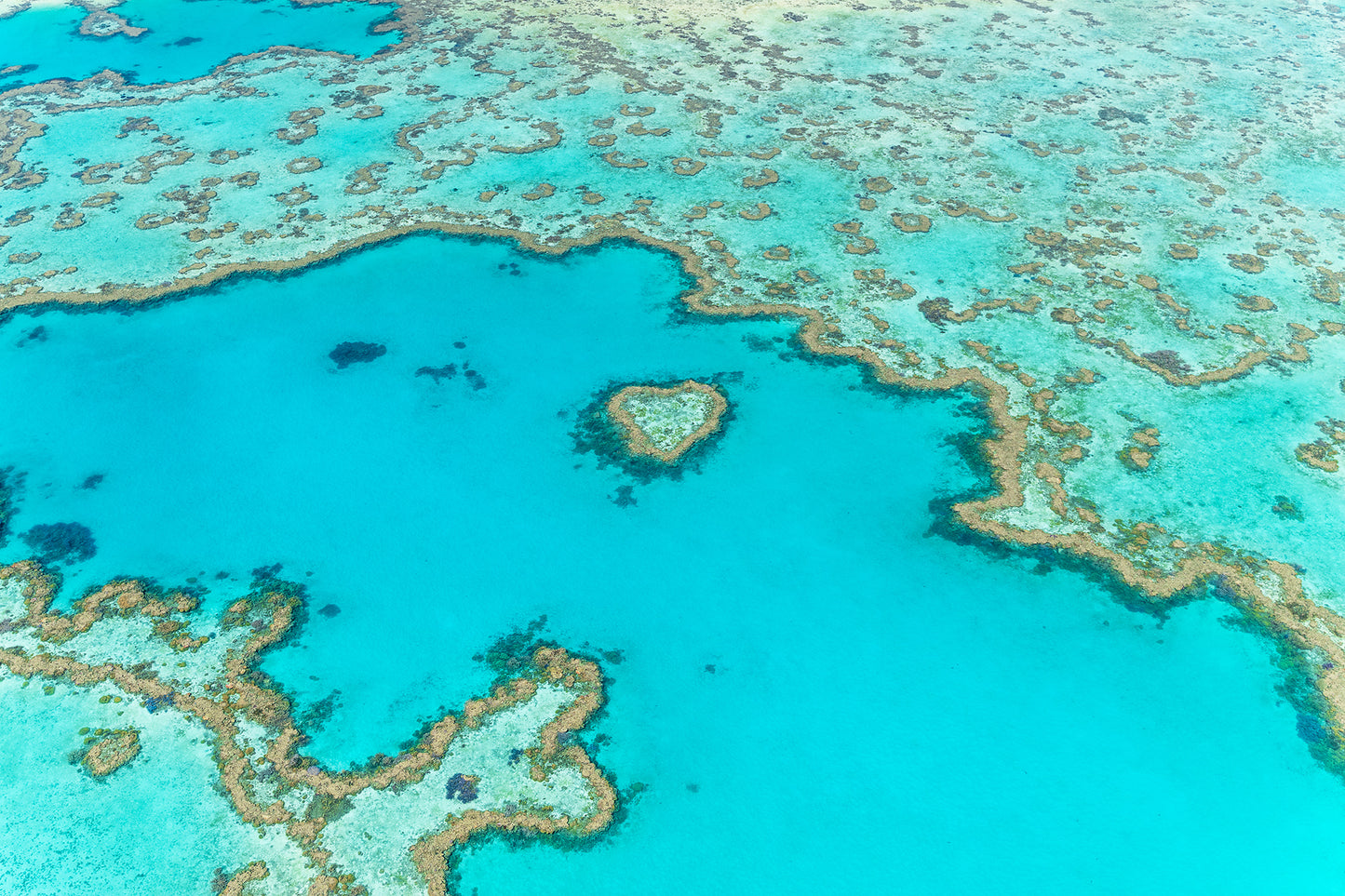 Heart Island Horizontal - Whitsunday Islands, Australia