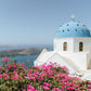 Flowers above the Caldera - Imerovigli, Santorini, Greece