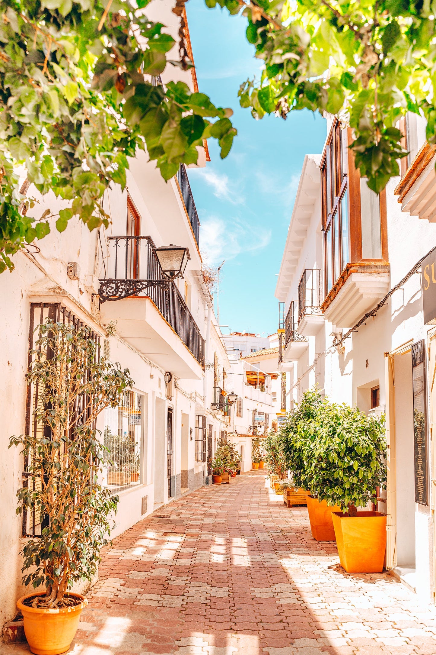 Siesta Time - Marbella, Spain