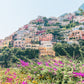 September Blossom Horizontal - Positano, Italy