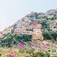 September Blossom Vertical - Positano, Italy