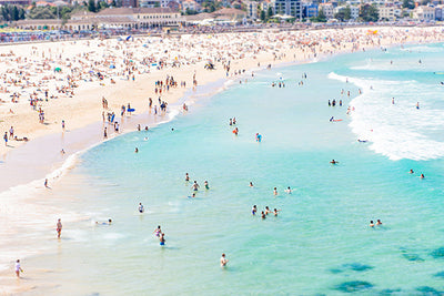 From where the bird flies - Bondi, Australia