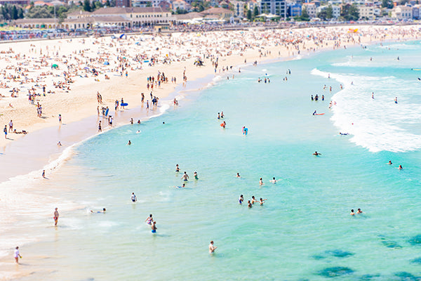 From where the bird flies - Bondi, Australia