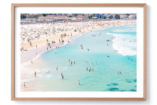 From where the bird flies - Bondi, Australia